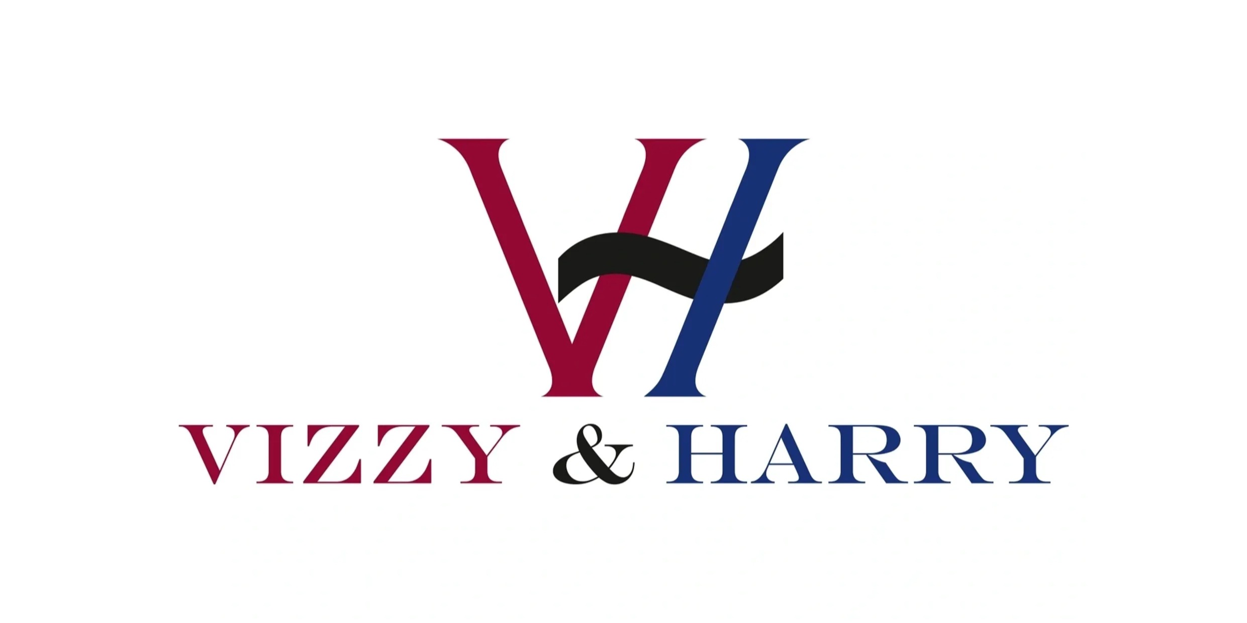 Vizzy & Harry Logo